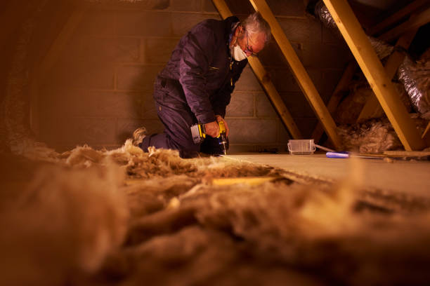 Best Insulation Maintenance and Repair in Caney, KS