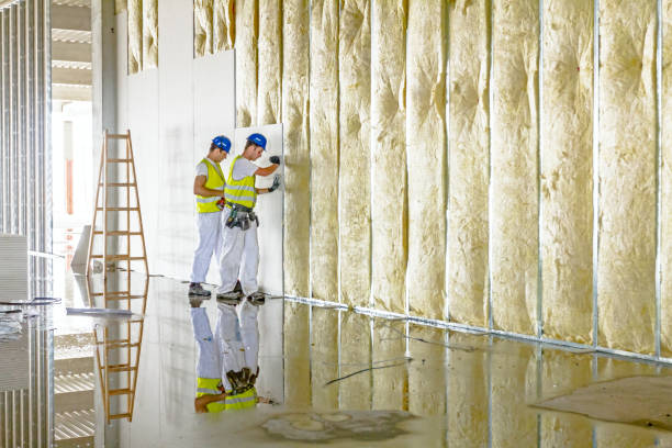 Best Insulation Maintenance and Repair in Caney, KS